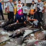 Ketika laut menjadi masa depan